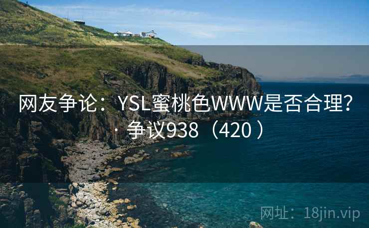 网友争论：YSL蜜桃色WWW是否合理？ · 争议938（420 ）